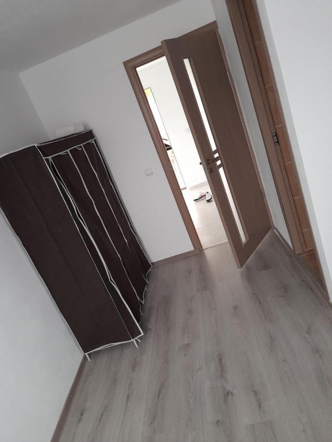 Hotel Casa Alex Cîrţişoara Exteriér fotografie