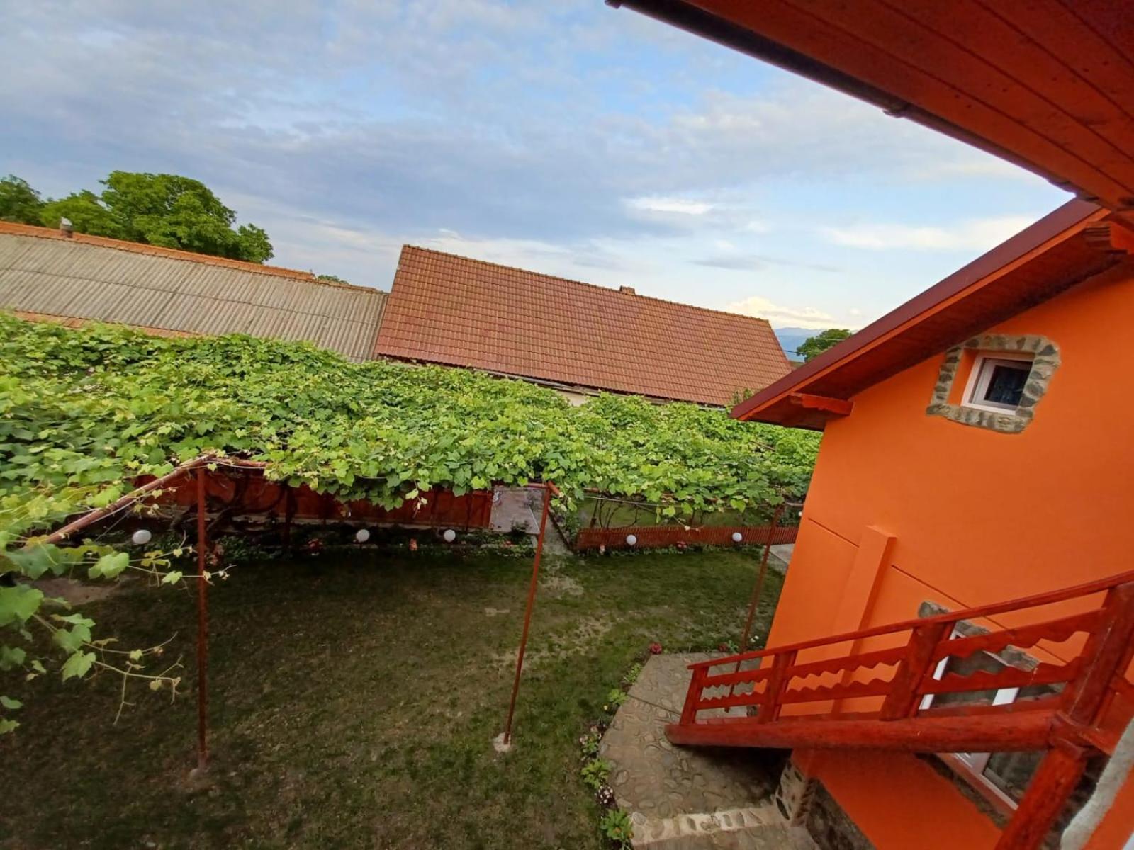 Hotel Casa Alex Cîrţişoara Exteriér fotografie